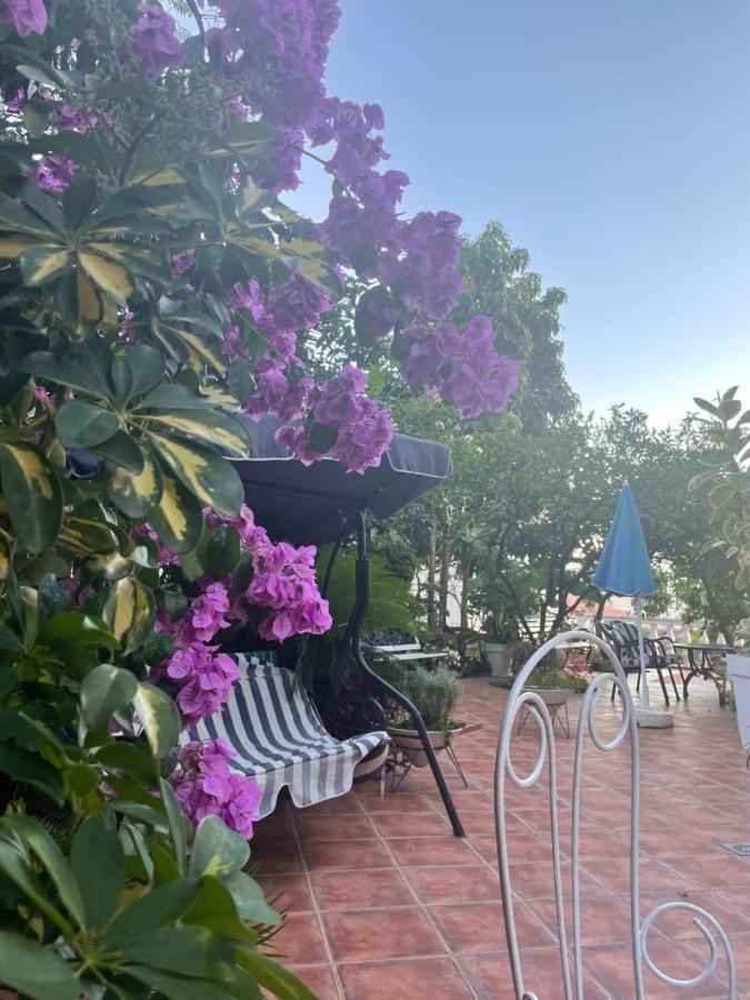 Apartmani Iva Becici Dış mekan fotoğraf